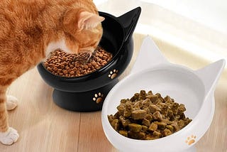 cat-bowlraised-cat-food-bowls-anti-vomitingtilted-elevated-cat-bowlceramic-pet-food-bowl-for-flat-fa-1