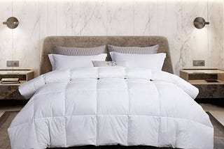 martha-stewart-white-goose-feather-and-down-comforter-twin-1