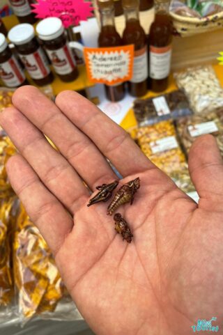 Close-up of a hand holding three small, dried insects. A market stall with condiments and snacks is visible in the background.