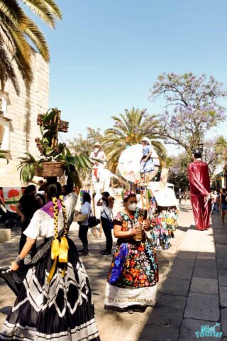 People dressed in colorful traditional outfits participate in a parade with palm trees in the background.