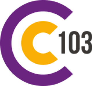 C103