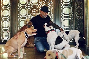 Drew Barrymore and Dave Bautista Join the ASPCA to Celebrate Adopt a Shelter Dog Month in October