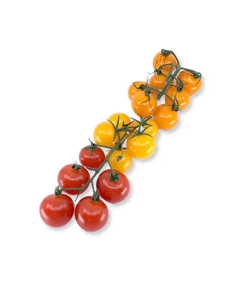 Trio Cherry Vine Tomato