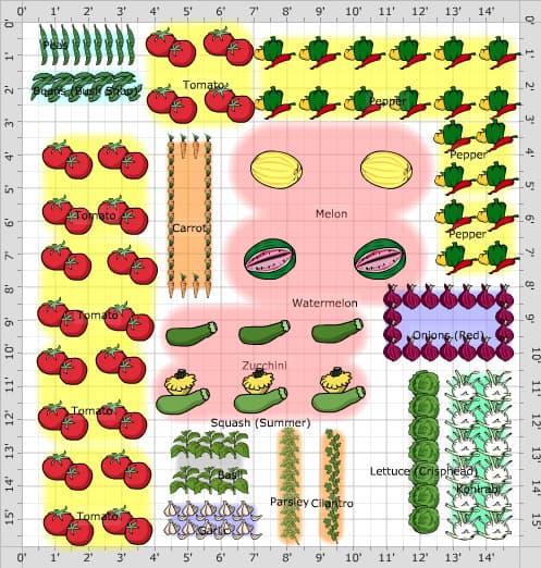 16. 15 x15 Veggie Garden