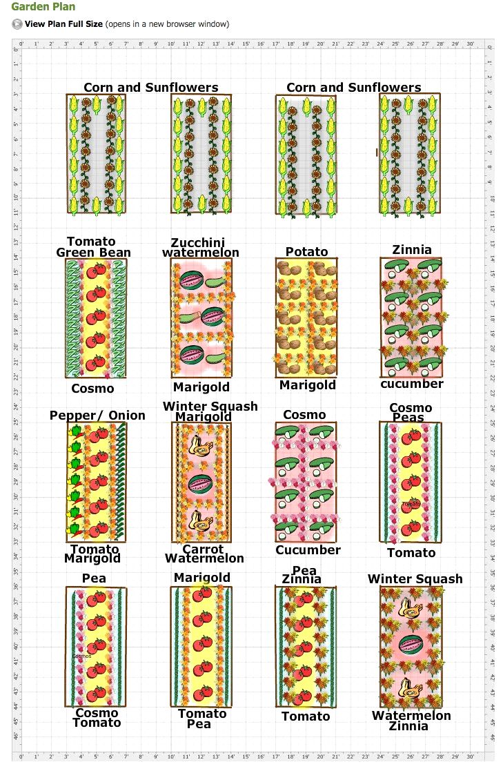 multi vegetable garden plans