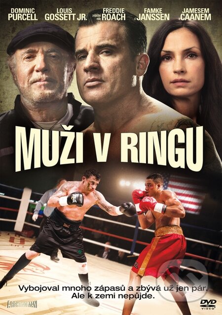 Muži v ringu - Damian Lee, Bonton Film, 2014