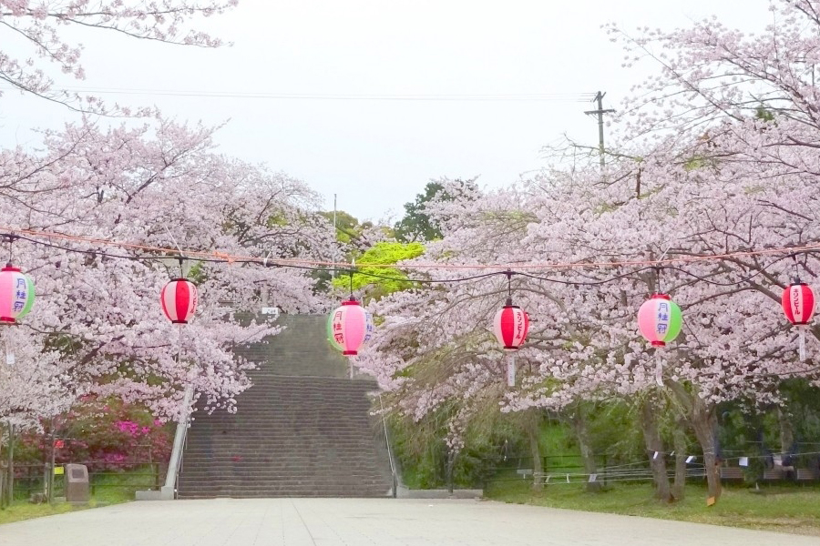 西公園桜まつり