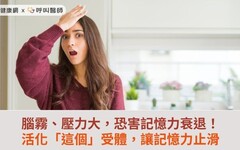 腦霧、壓力大，恐害記憶力衰退！活化「這個」受體，讓記憶力止滑