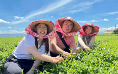 松嶺茶鄉體驗營 參山邀大家來當一日製茶師