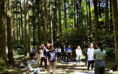 夏日親近自然好趣處 東眼山「癒見森林：森活療癒力」打開五感