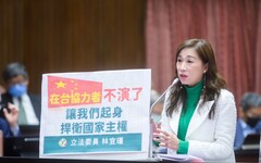 指白營應改名為「欺騙民眾黨」 林宜瑾：比國民黨還不如