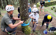 玉管處113年度聯合山域搜救訓練 強化搜救技能