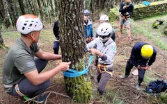 玉管處113年度聯合山域搜救訓練 強化搜救技能