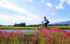 愛知縣新城市好Outdoor！來去豐川上游騎單車、玩立槳和划船