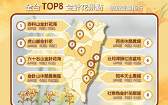 賞金針好解憂！ 網推全台TOP8金針花景點不能錯過