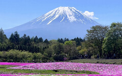 日本富士山登山限制 推薦5大搶手富士山景觀飯店