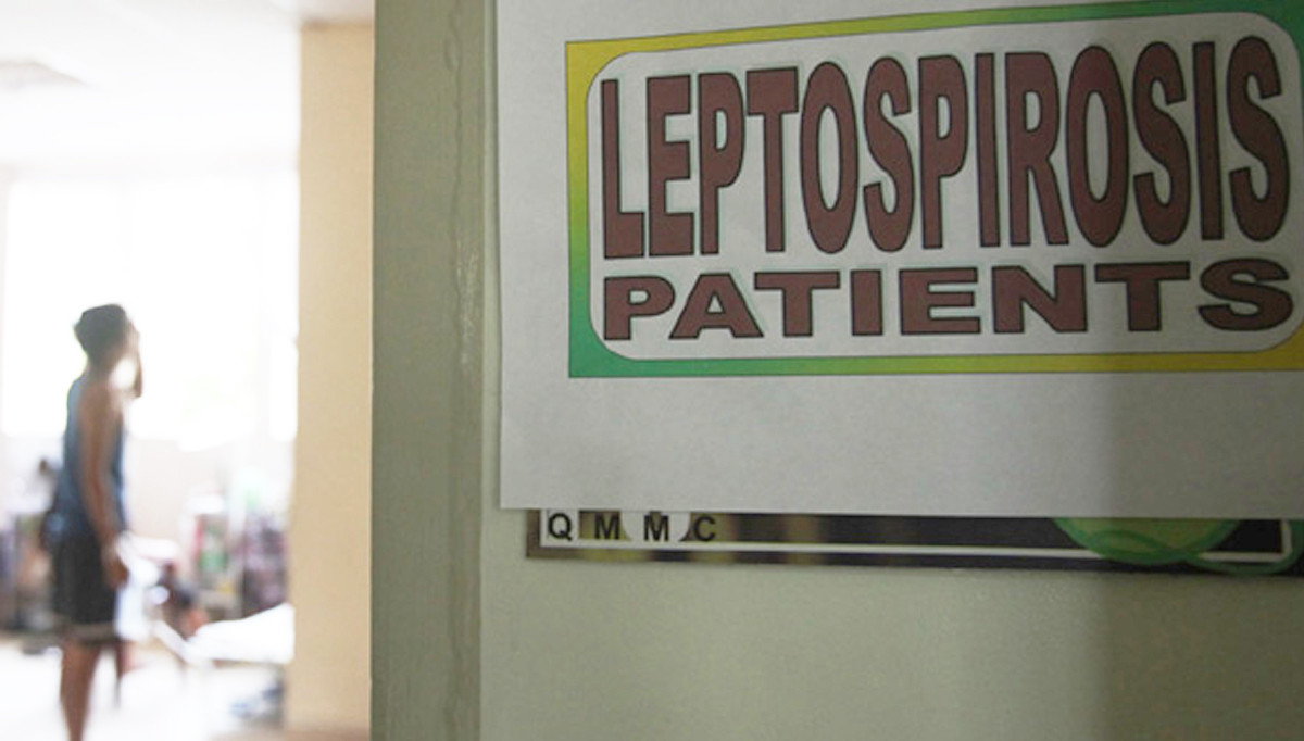 New test kit detects high-risk leptospirosis cases