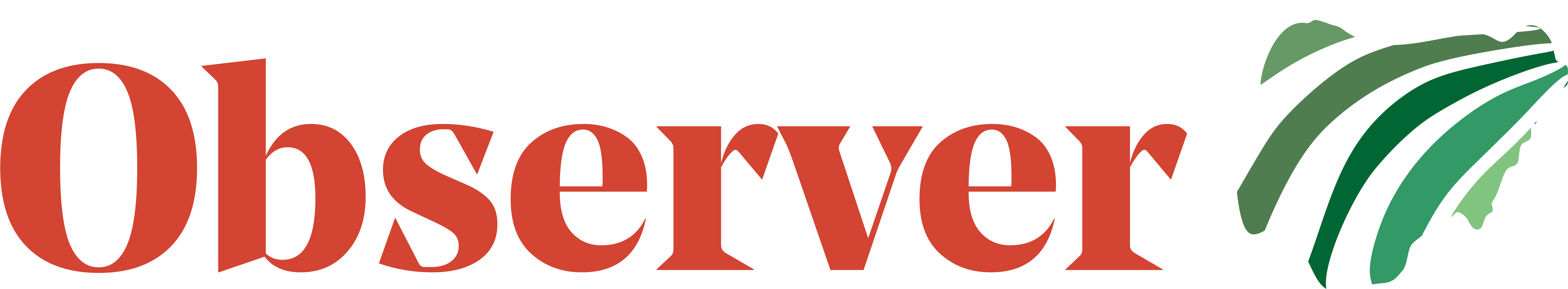 The Nigerian Observer