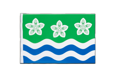 Cumbria Little Flag 6x9"