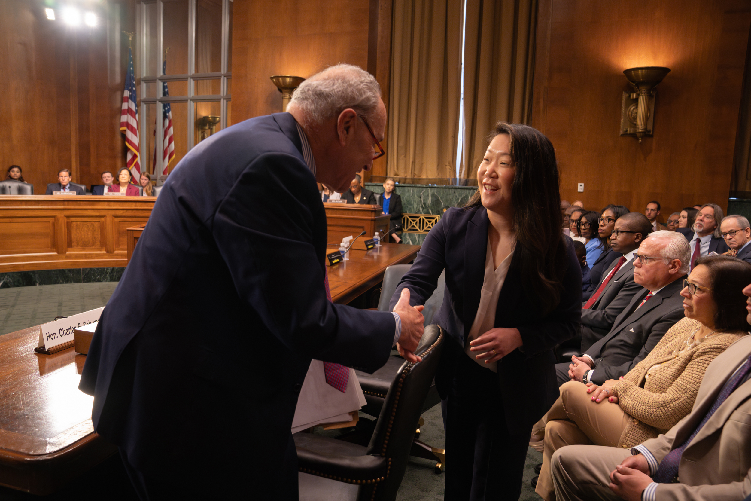 Senator Chuck Schumer shakes the hand of Judge Meridth Vacca. Schumer is wearing a dark suit and has grey hair and glasses perched on the end of his nose. Vacca also wears a dark suit, she has dark long hair and is smiling as she shakes Schumer's hand.