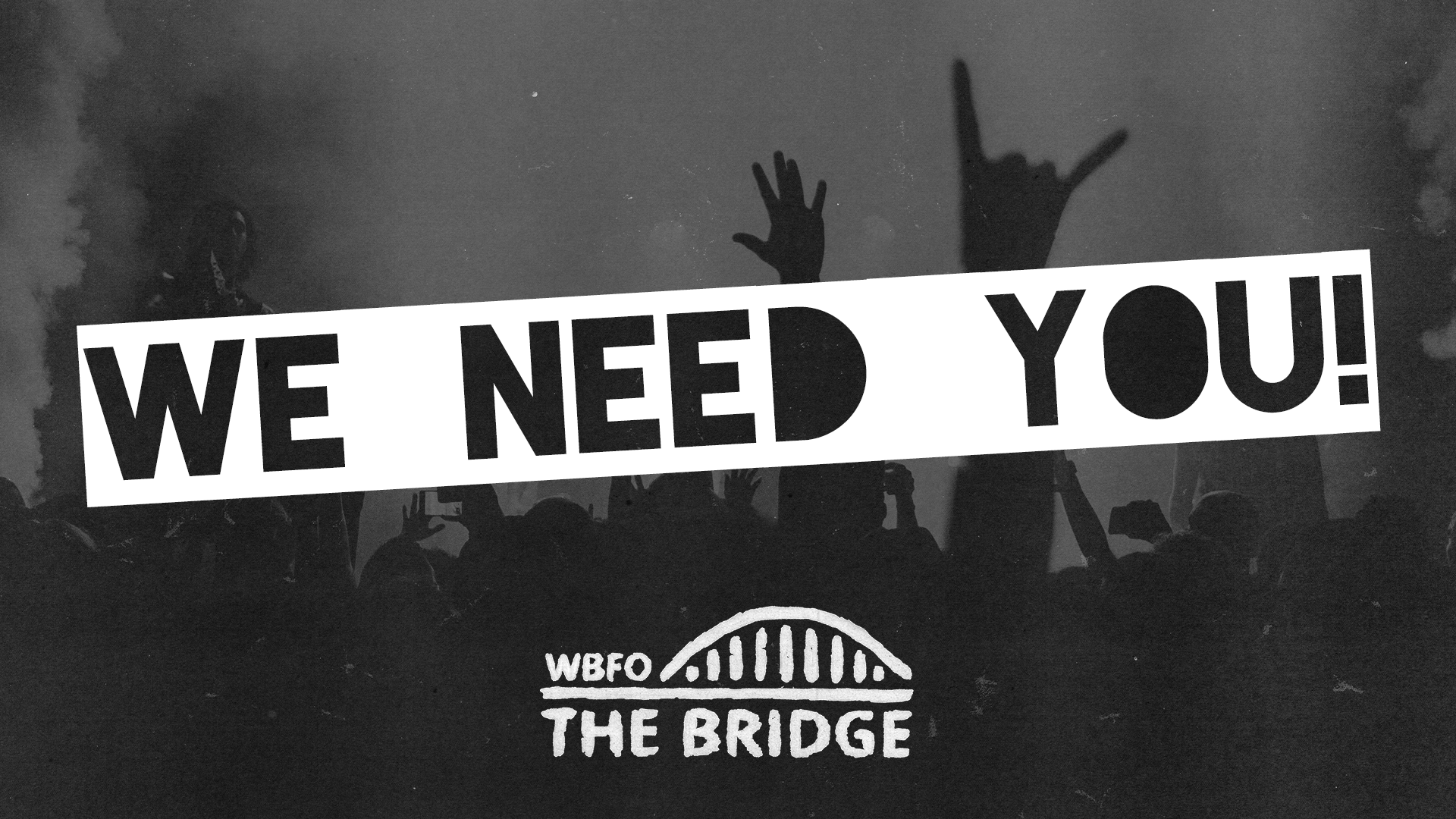 WBFO The Bridge Focus Group