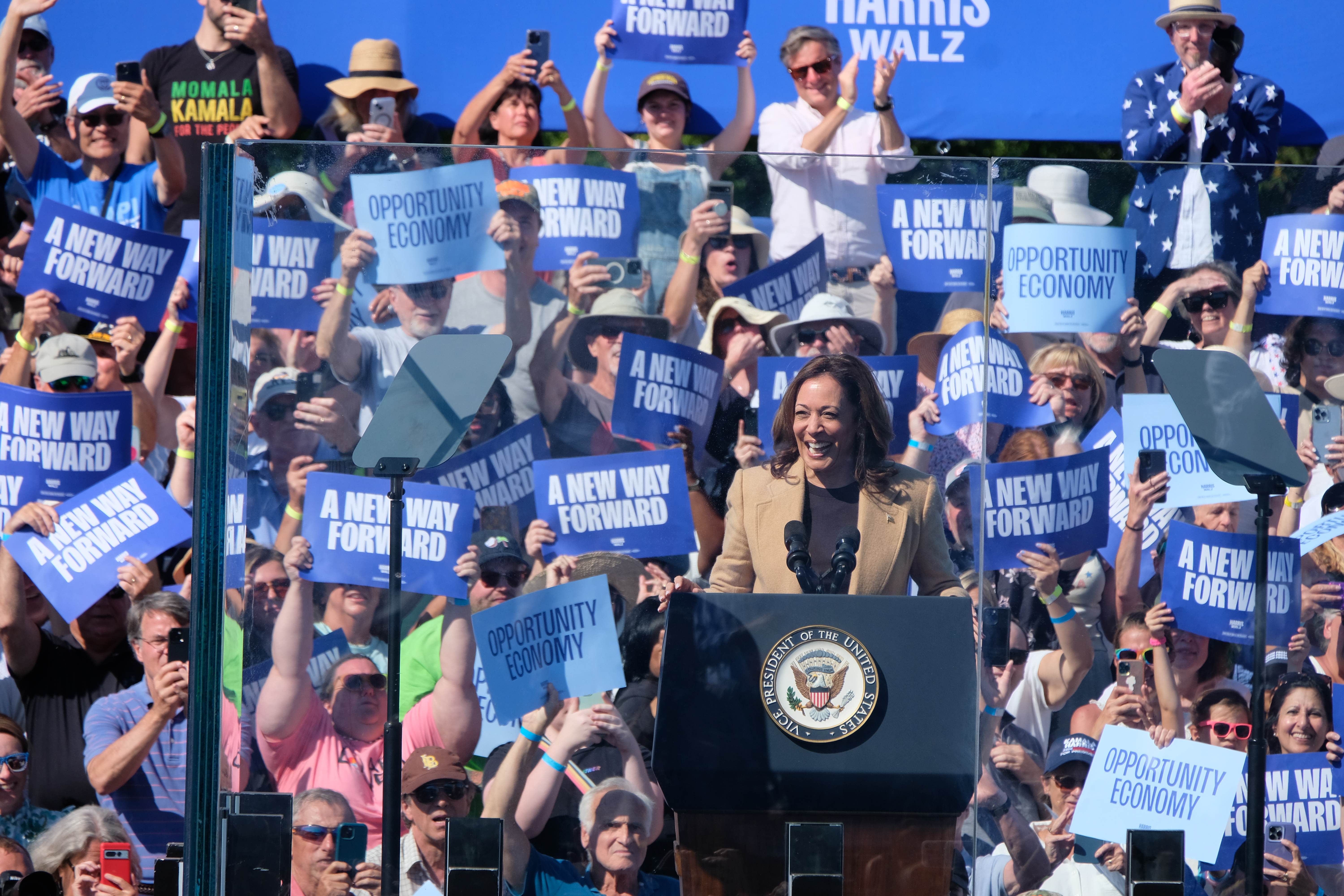 Vice President Kamala Harris laid out a proposal to back small business development during a rally in North Hampton.