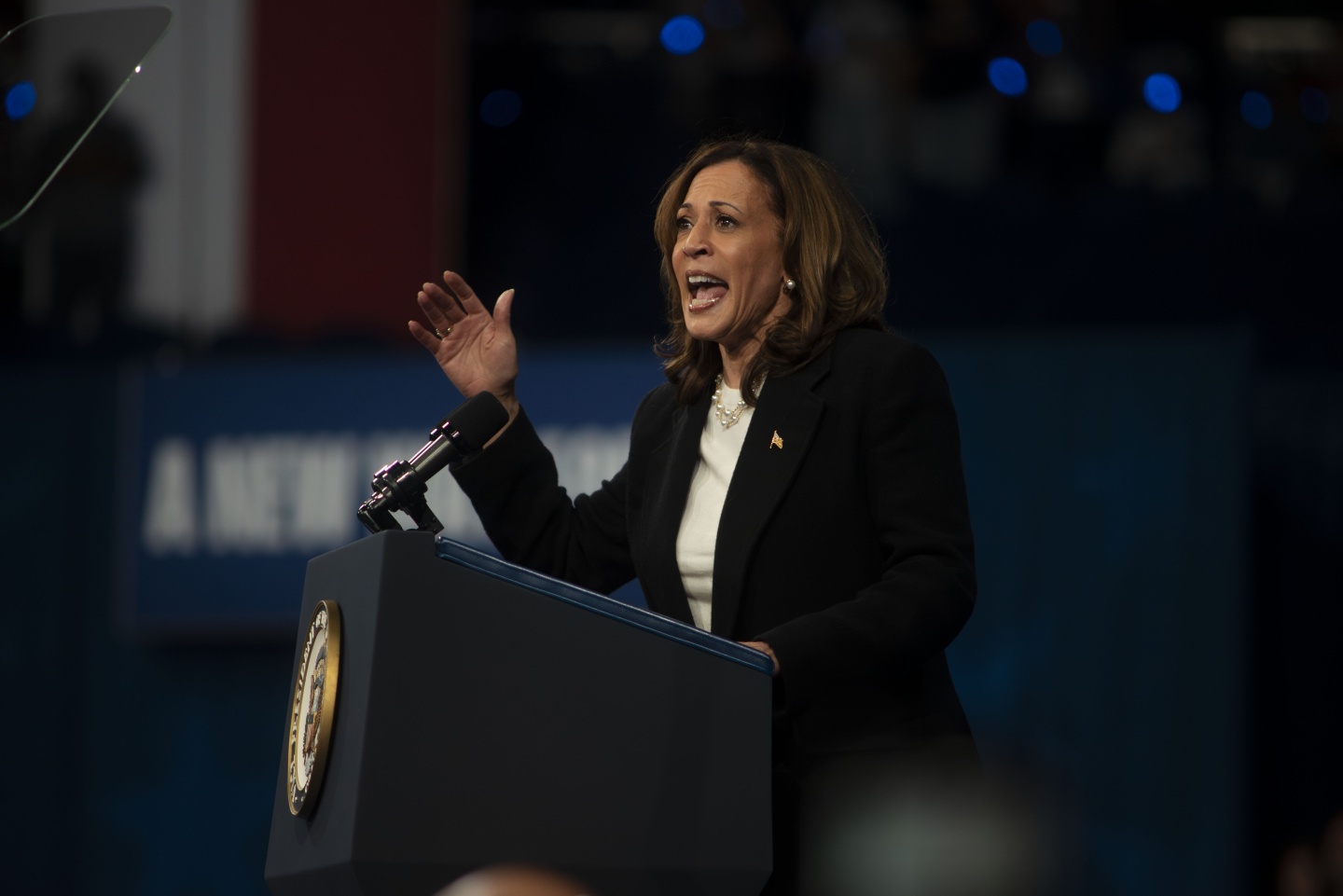 Vice President Kamala Harris speaks to a crowd of over 17,000 during a campaign rally at the Greensboro Coliseum in Greensboro, N.C., on Thursday, Sept. 12, 2024.