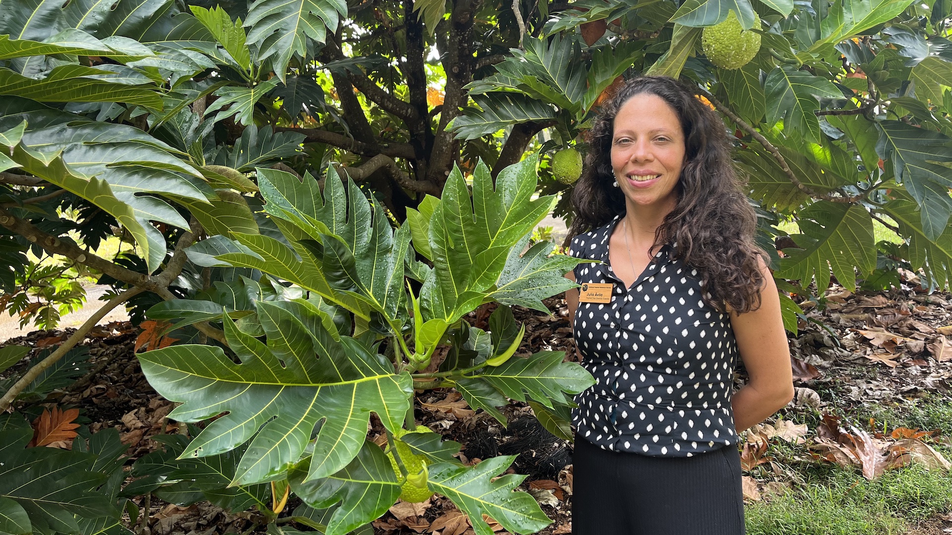 Dr. Julia Vieira da Cunha Ávila