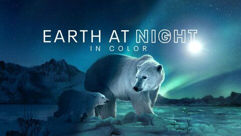 Earth at Night in Color