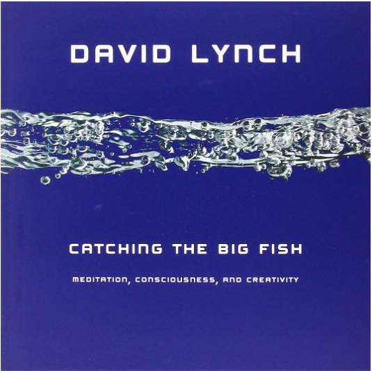 Catching the Big Fish by David Lynch