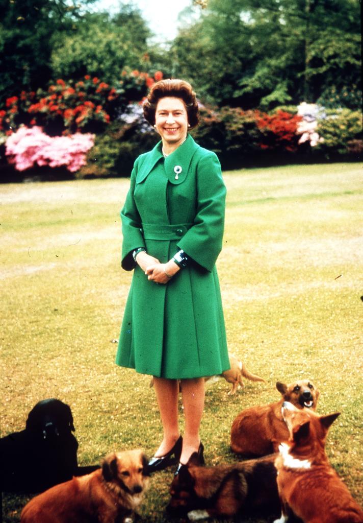 Queen Elizabeth II was also known for her love of corgis.