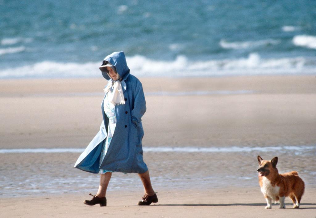 The queen goes on walks with her dogs twice a day.