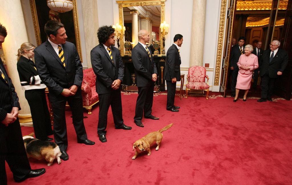 There's a chance the palace staff will continue to care for her dogs even after she's gone.