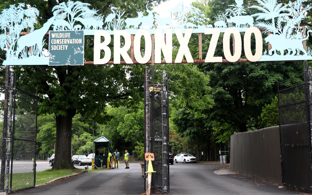 the entrance to the bronx zoo