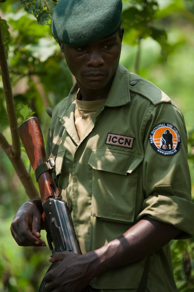 from the Congolese Wildlife Authority (Institut Congolais pour la Conservation de la Nature, ICCN) stands in a banana plantation in Katale at the edge of the Virunga Park in the east of the Democratic Republic of Congo