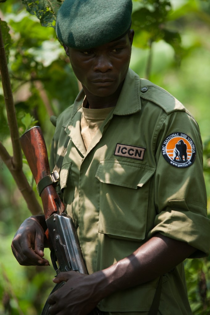 from the Congolese Wildlife Authority (Institut Congolais pour la Conservation de la Nature, ICCN) stands in a banana plantation in Katale at the edge of the Virunga Park in the east of the Democratic Republic of Congo