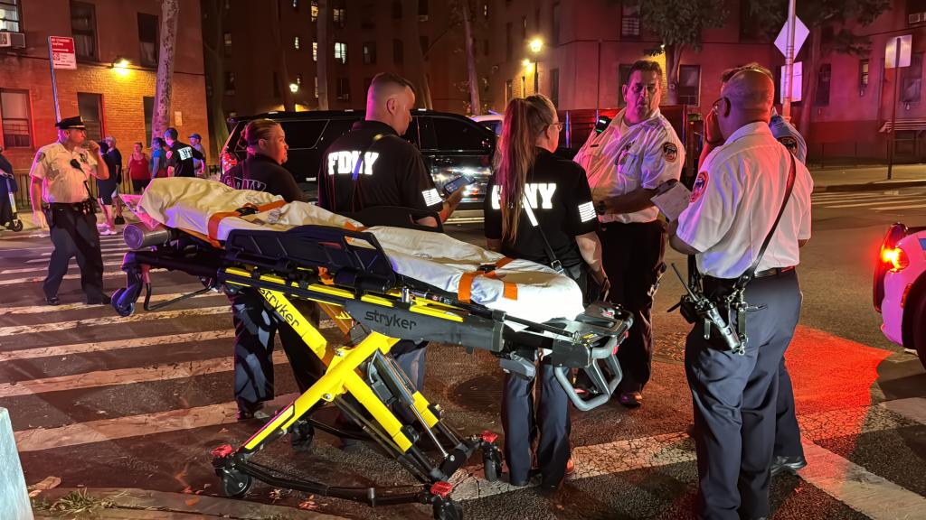 Emergency personnel attending to pedestrians hit by a truck in a park at Jackson and Water Street in Manhattan