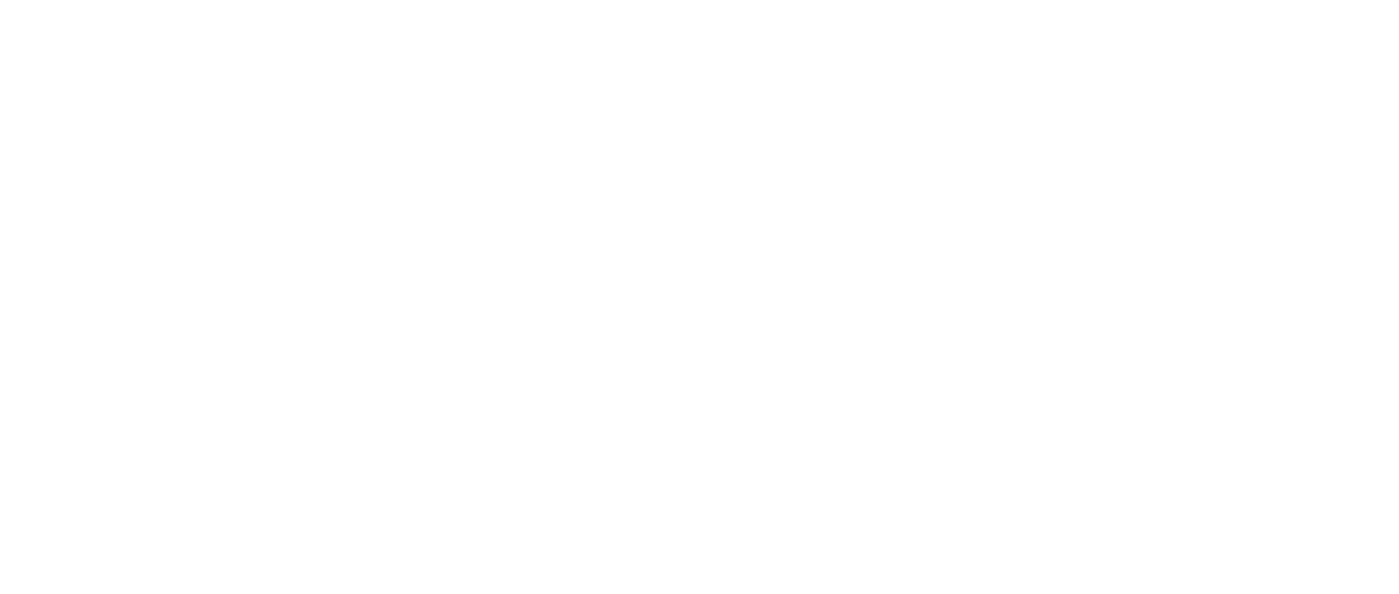 The Other Guys