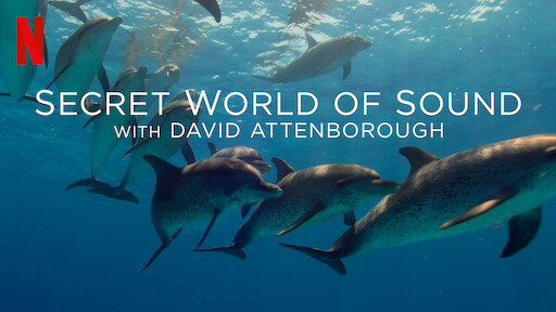 Secret World of Sound with David Attenborough