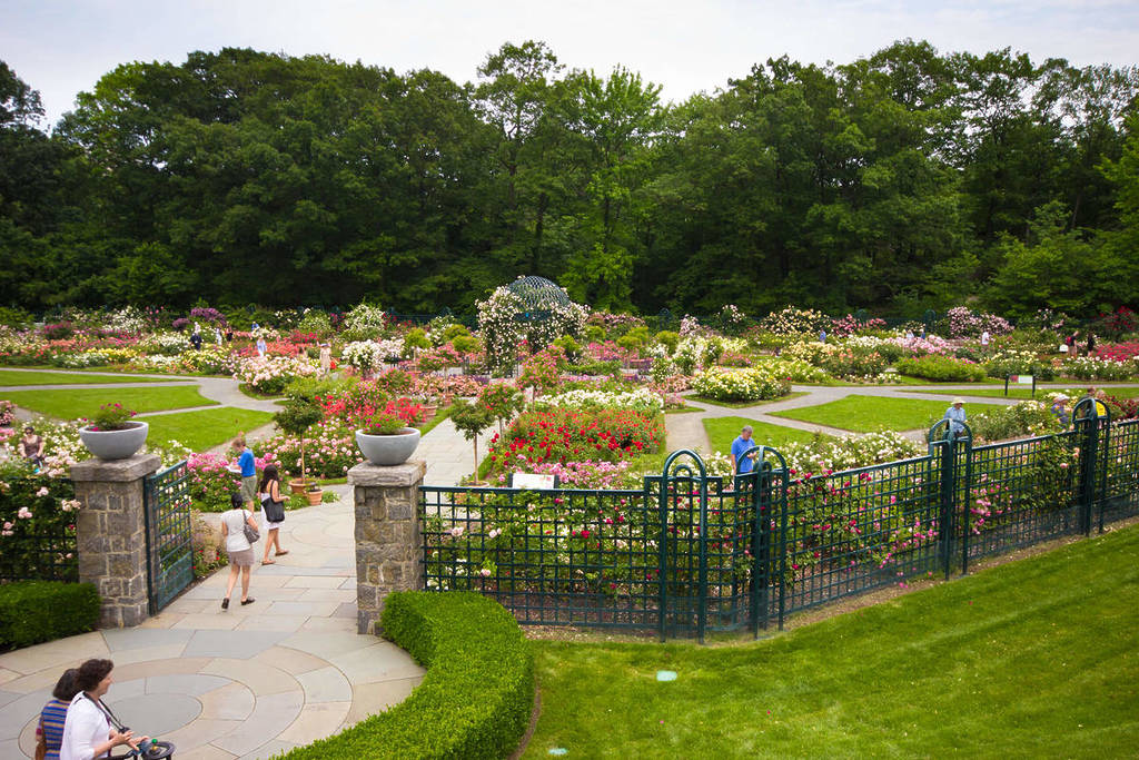 A green area of New York Botanical Garden, filled with flowers.