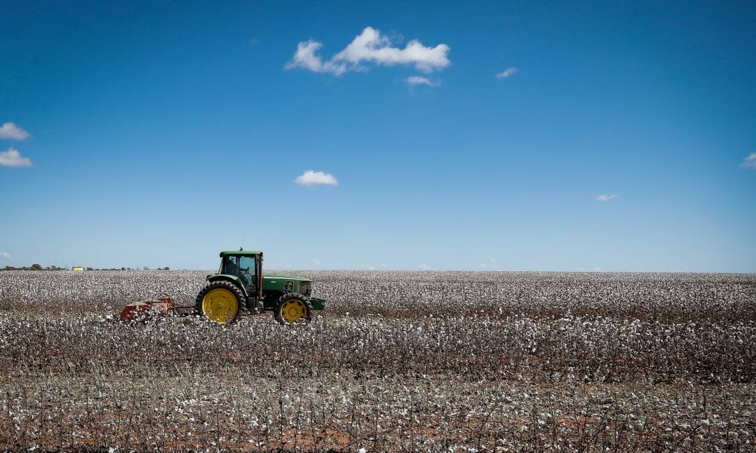 Atividade econômica. Plantação de algodão na cidade de São Desidério, na Bahia: empresários do agronegócio, interessados em garantir políticas favoráveis ao setor, encaminham demandas, como expansão de crédito, a pré-candidatos Foto: Pablo Jacob / Agência O Globo