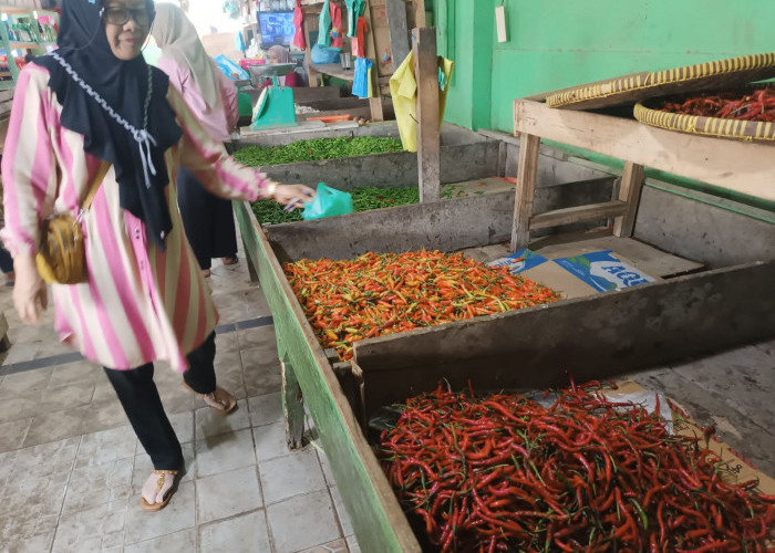 Harga Cabai Merah dan Rawit di Baturaja Tembus Rp 90.000 Per Kg