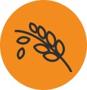 Grain icon