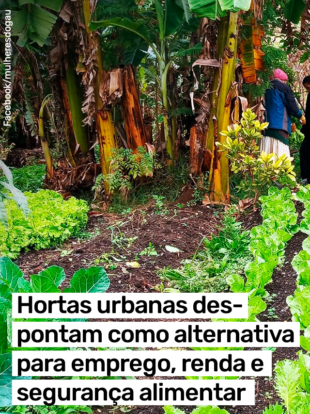 Hortas urbanas