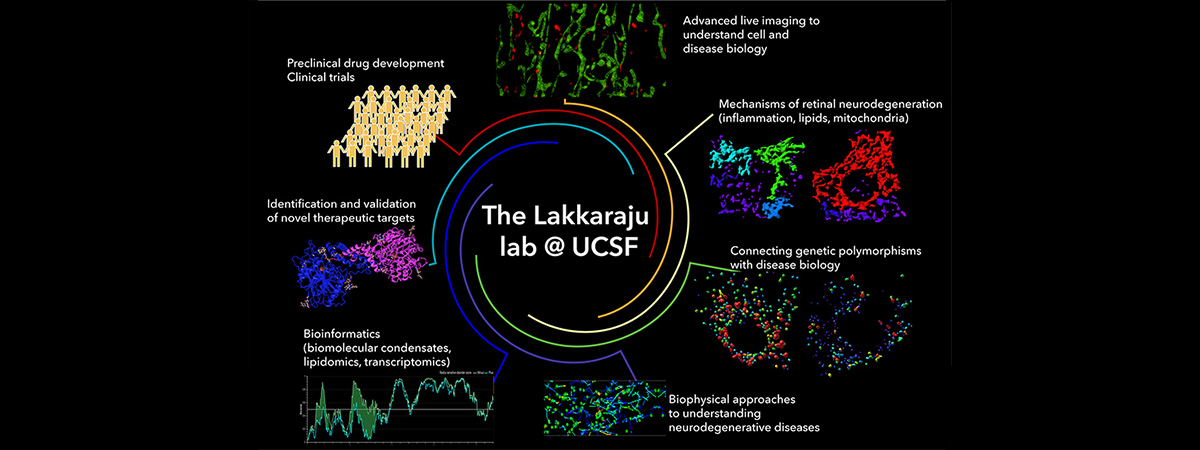 LakkarajuLabRecruitmentFlyer_Nov22