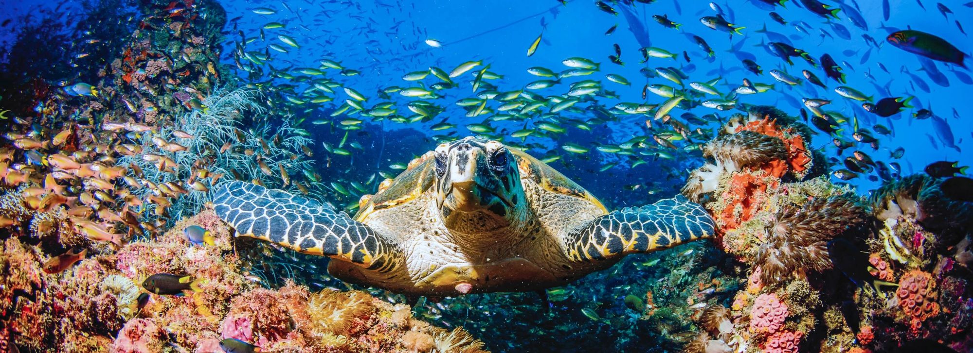 Great Barrier Reef