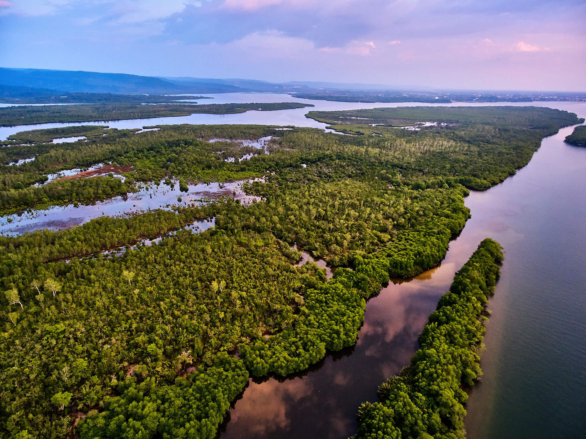 Capturing CO2 and Restoring Coastal Ecosystems and with SeaTrees