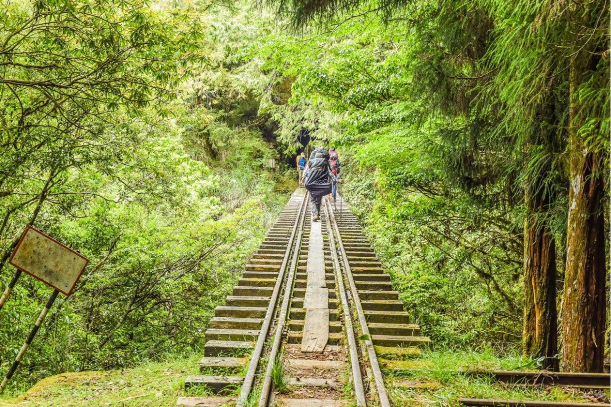 精選８條嘉義登山步道秘境｜踏遍嘉義登山步道享受鳥鳴芬多精