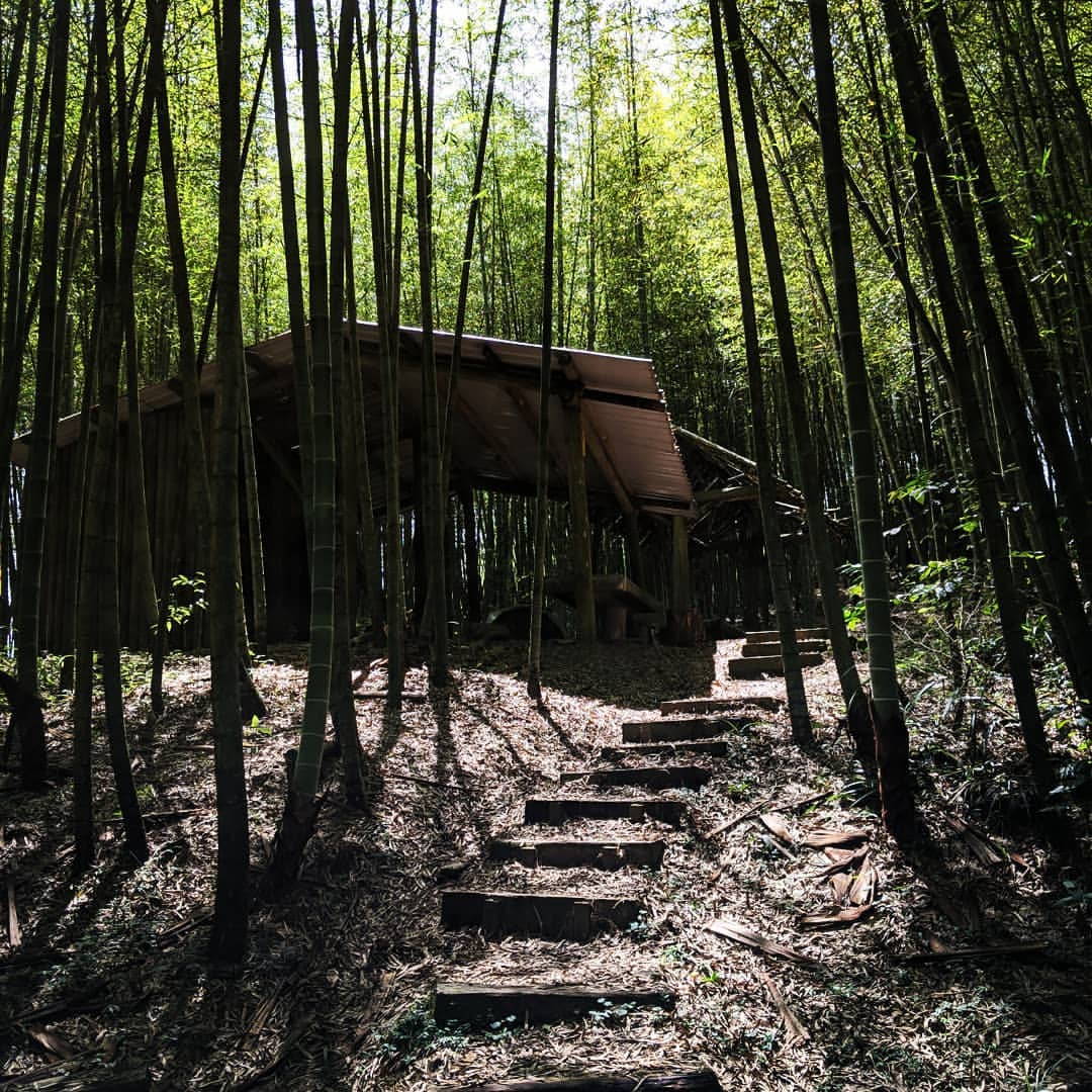 精選８條嘉義登山步道秘境｜踏遍嘉義登山步道享受鳥鳴芬多精