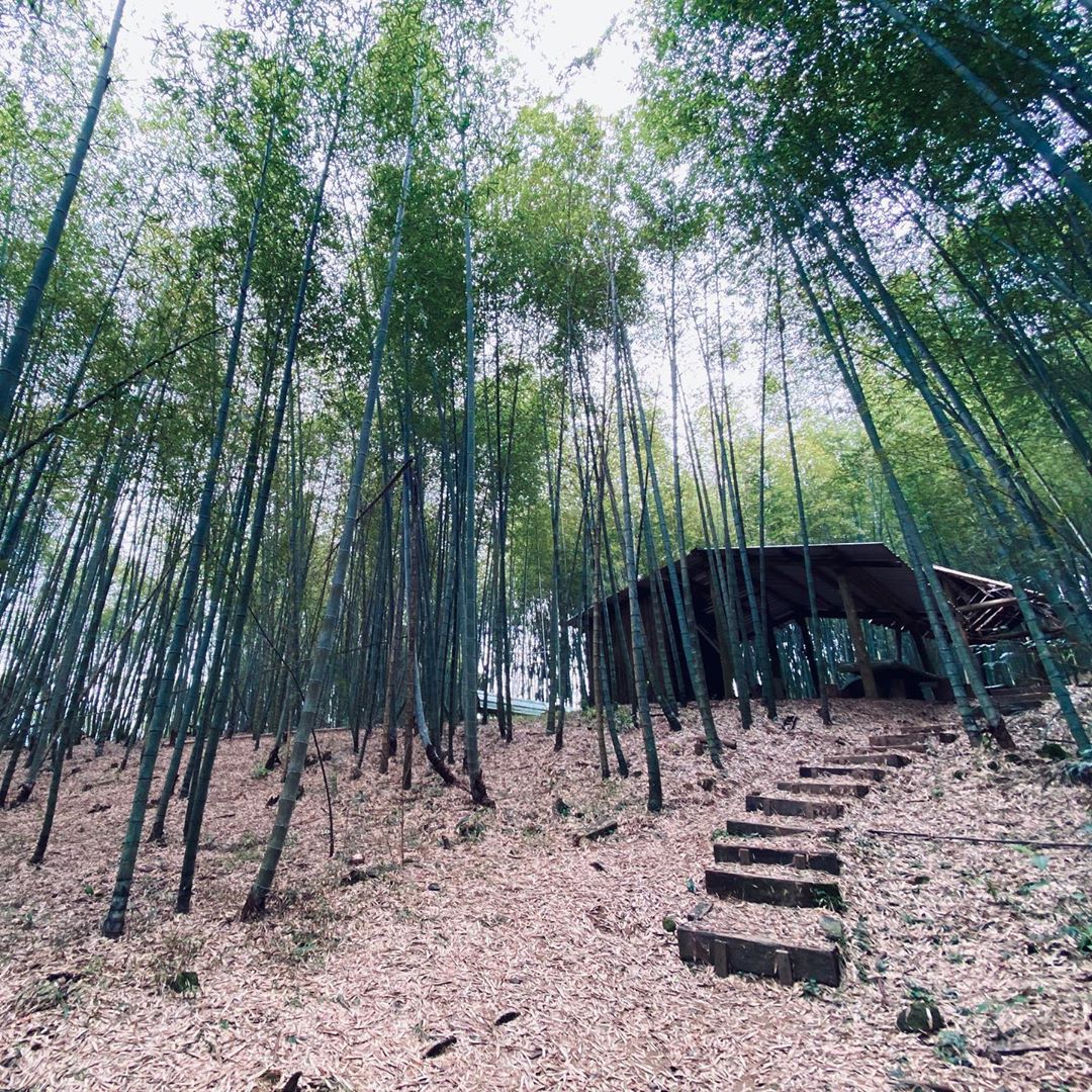 嘉義８條必走森林登山步道秘境｜踏遍嘉義登山步道享受森林浴